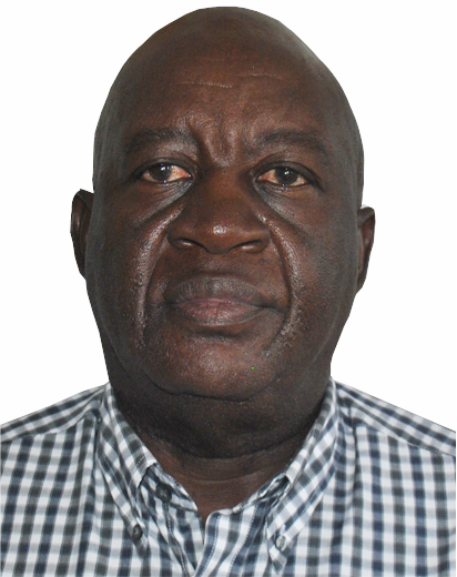 He is the former group Chairman from 2002 to December 2011. He has been in private practice since 1986. He is also the Director of Toresai Investments and Anything African (Pvt) Limited.