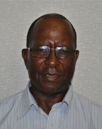 Employed as a consultant by Min of Health and Child Welfare, He runs own surgery as an ENT Surgeon. He is also a Director of Entopic Services and Suppliers.